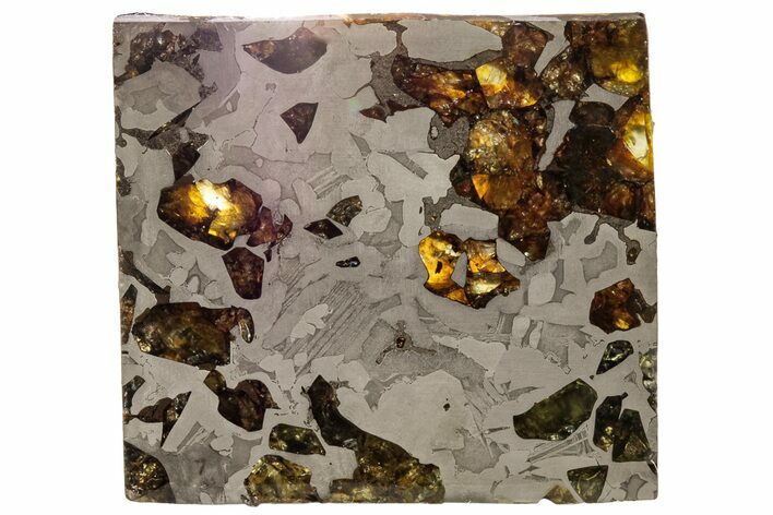 Seymchan Pallasite Meteorite Slice ( g) - Russia #305571